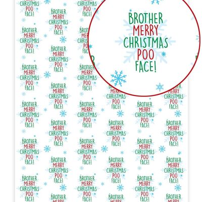 Emballage cadeau de Noël – Brother Poo Face **Pack de 2 feuilles pliées** par Brainbox Candy