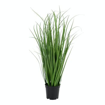 Herbe Poa - Herbe Poa Artificielle 1