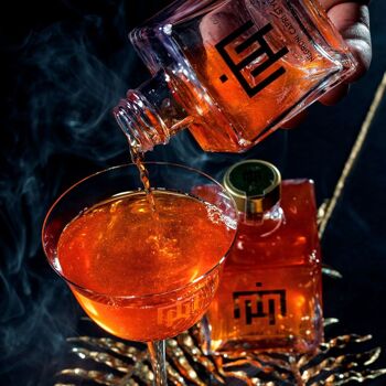 Cocktails en bouteille de luxe MH - Negroni Capri Style 2