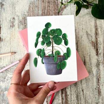 Carte postale / Affiche A6 - Pilea Peperomioides en pot 2