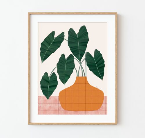 Ilustración "Philodendron y maceta" - Varios tamaños