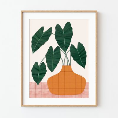 Ilustración "Philodendron y maceta" - Varios tamaños