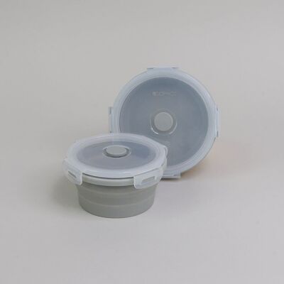 2 Piece Small Collapsible Bowl Set