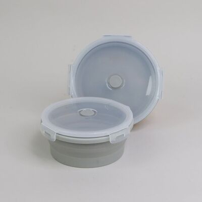 2 Piece Large Collapsible Bowl Set