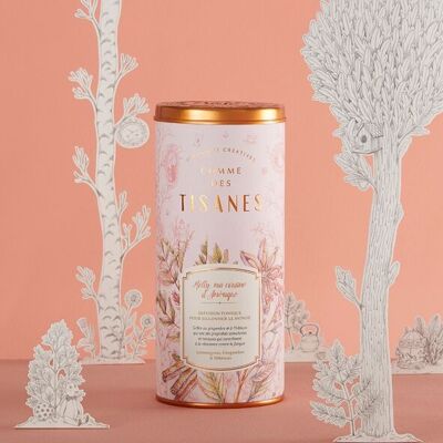 La Globe Trotteuse – organic invigorating infusion bulk infusion in collector’s box fr-bio-01