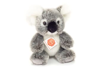 Koala assis 18 cm - peluche - peluche 3