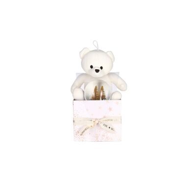 Teddy Bear & Snow Globe Boxes