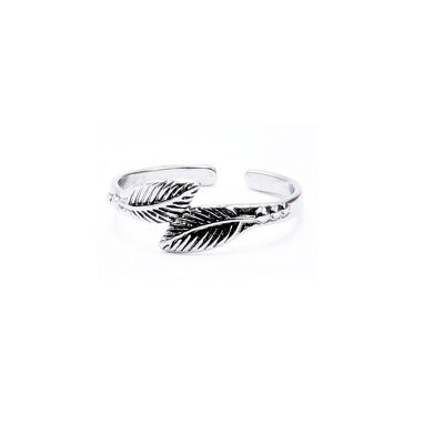 Adjustable ring 2