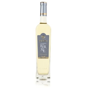 Terres de Berne - Vin Blanc - AOP Côtes de Provence 1