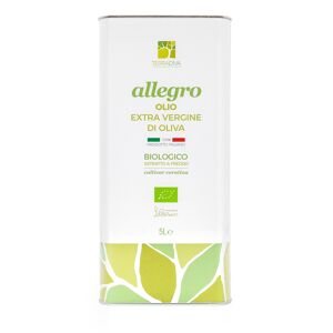 BIO - Huile d'Olive Extra Vierge Terradiva ALLEGRO intense - 5 L