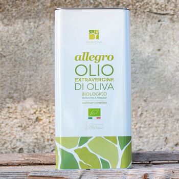 BIO - Huile d'Olive Extra Vierge Terradiva ALLEGRO intense - 3 L 2