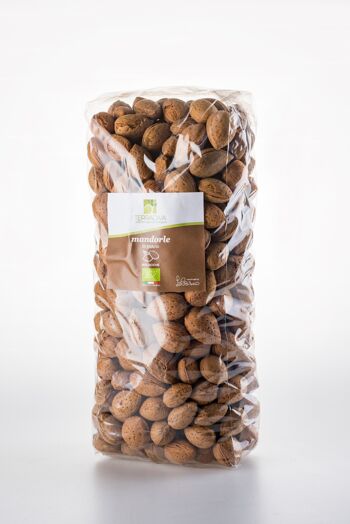 BIO - Amandes des Pouilles Terradiva en coque - 4kg 1