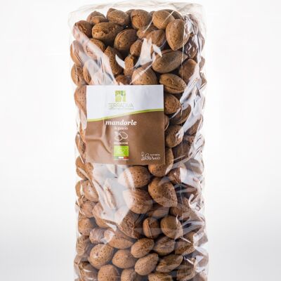 BIO - Terradiva Apulian almonds in shell - 4kg