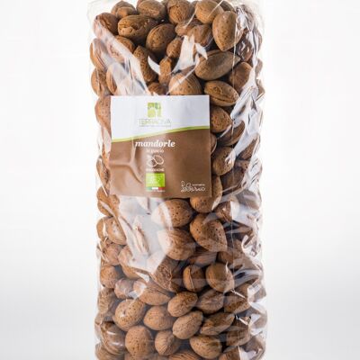 BIO - Terradiva Apulian almonds in shell - 500g