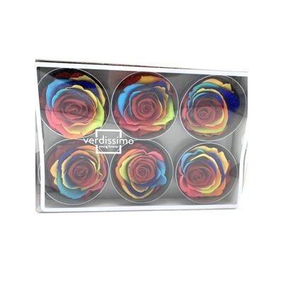 Stabilized rose Box of 6 Muticolor heads