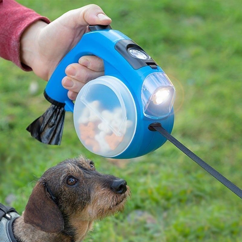 Compet : Laisse pour chien 6-en-1