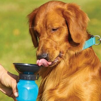 DOGWATER : Bouteille abreuvoir pour chiens 2