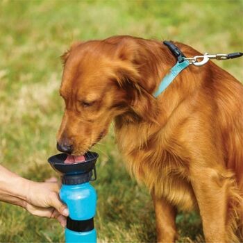 DOGWATER : Bouteille abreuvoir pour chiens 5