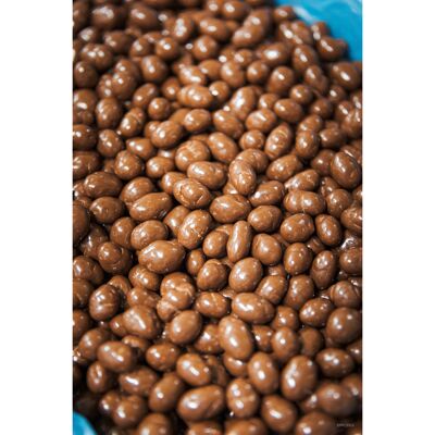 Karamellisierte Erdnüsse umhüllt von Milchschokolade, 3 kg