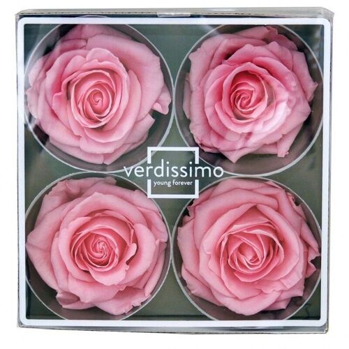 Rose stabilisée Premium Boite de 4 têtes Rose Pastel