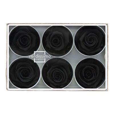 Standard stabilized rose Box of 6 heads Black