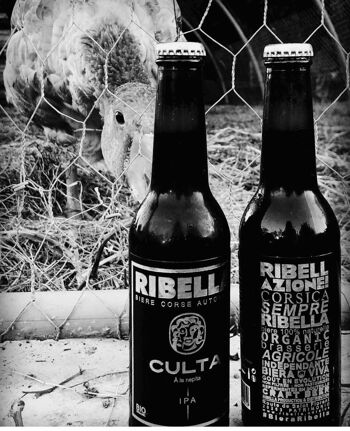 Bière Corse RIBELLA - CULTA - IPA à la Nepita Corse BIO 4