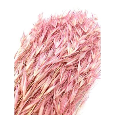 Avena secca rosa 150g