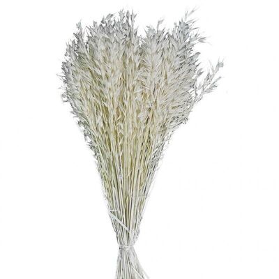 AVENA BIANCA 150G 6108-5