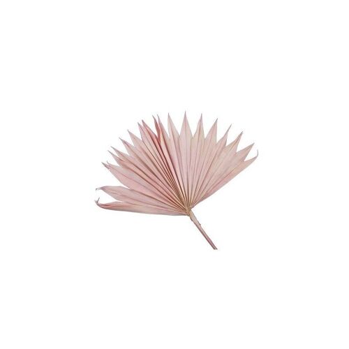 Feuille de palmier rose - 5 pièces