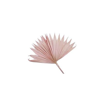Foglia di palma rosa - 5 pezzi