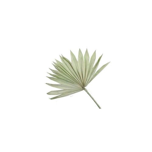Feuille de palmier verte - 5 pièces