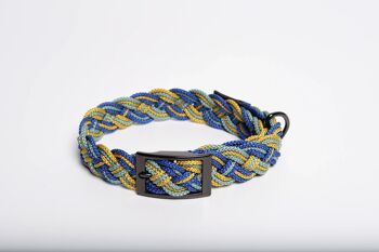 Collier pour perros Corme bleu 2