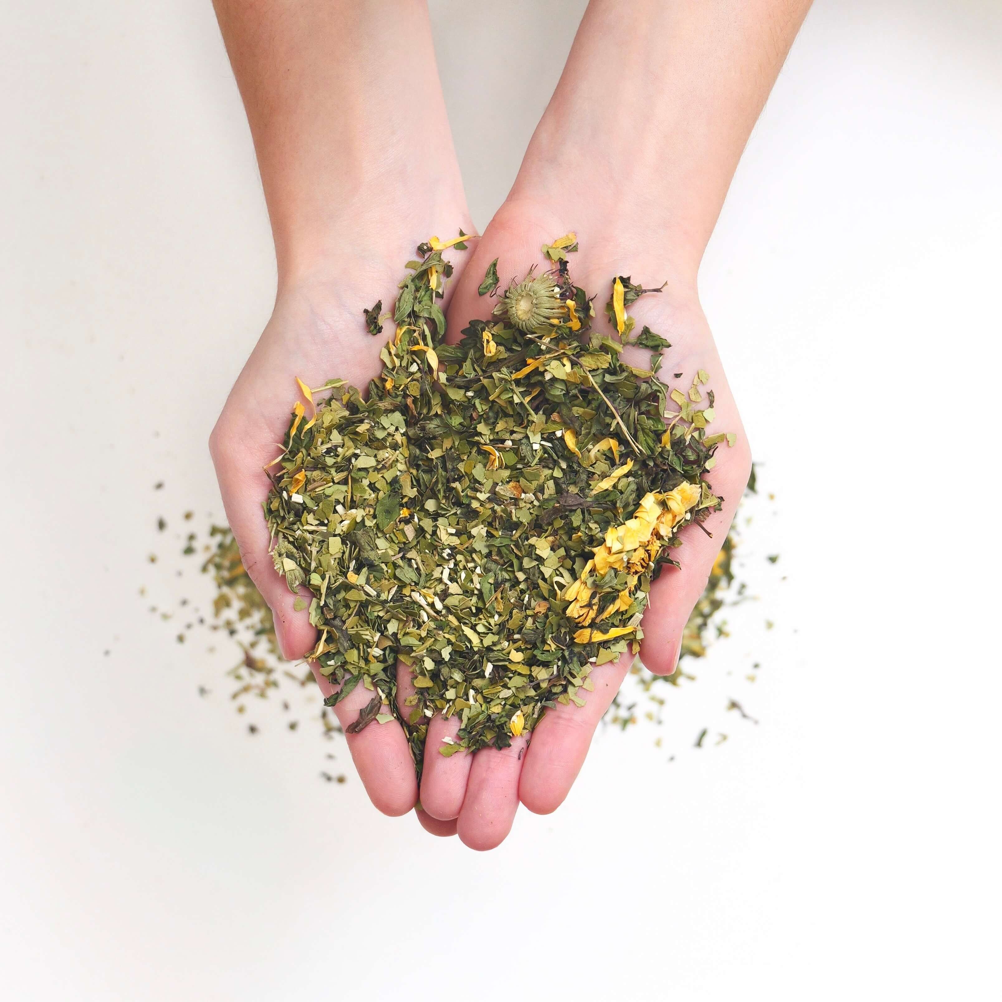 Mate alla menta piperita biologica - sfuso 1 kg