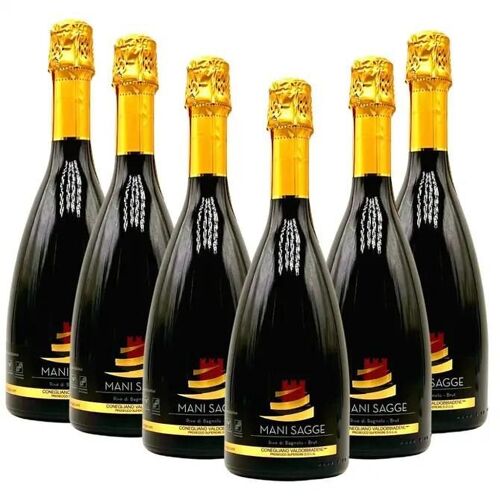 Prosecco Superiore Mani Sagge DOCG Rive di Bagnolo Brut