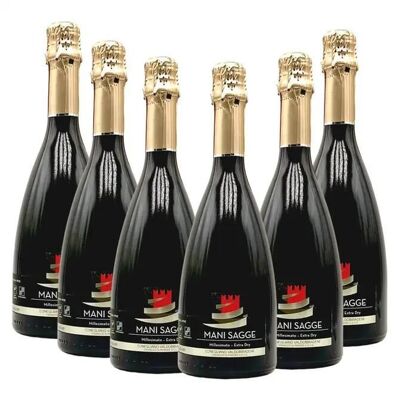 Prosecco Superiore Mani Sagge DOCG Millesimato Extra Dry