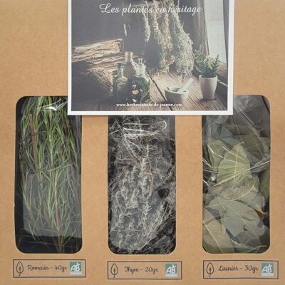 Caja plantas aromáticas - ESPECIAL COCINA