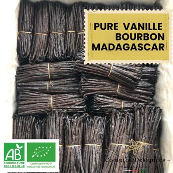 ( 1 Kg ) GOUSSES de VANILLE Bourbon de MADAGASCAR - Qualité PREMIUM - Récolte 2023 3
