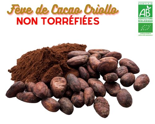 ( 1 kg ) FÈVES de CACAO Criollo fin BIO de Madagascar