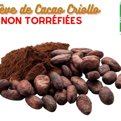 (1 kg) ORGANIC fine Criollo COCOA BEANS from Madagascar