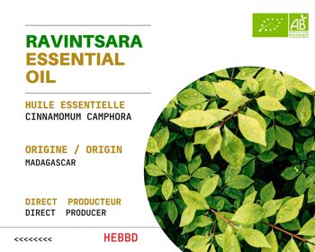 ( 500 mL ) Huile Essentielle de Ravintsara Bio - Cinnamomum Camphora Leaf Oil 2