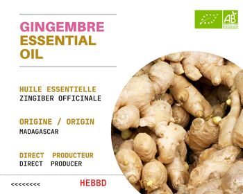 ( 500 mL ) Huile Essentielle de GINGEMBRE de Madagascar - Certifiée BIO par Ecocert 2