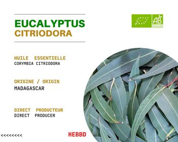( 500 mL ) Huile Essentielle d'Eucalyptus Citronné de Madagascar Certifiée BIO par Ecocert Originaire . 2