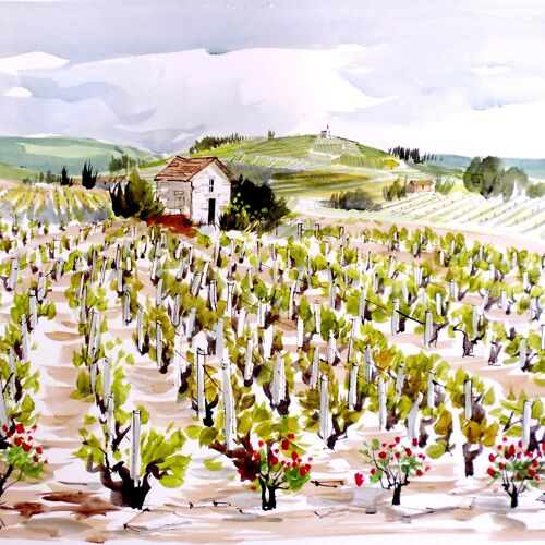 Fleurie (Beaujolais) - CC48