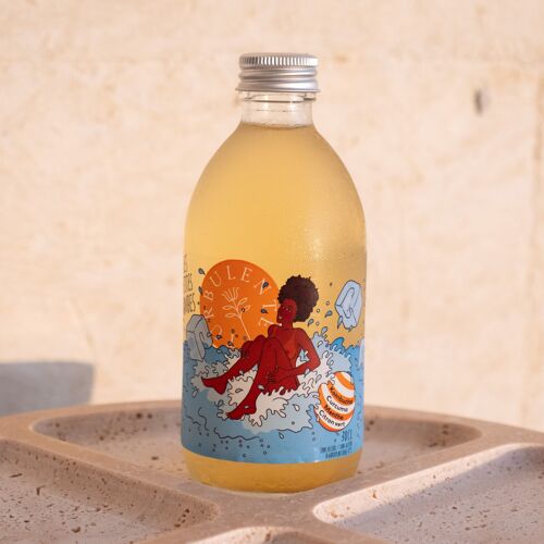 Kombucha Curcuma Menthe & Citron Vert / Les Petites Bombes Turbulente Kombucha