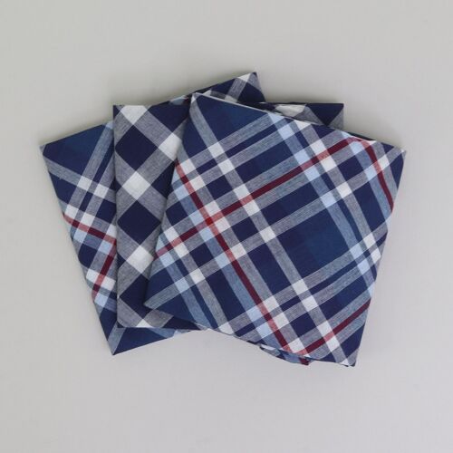 Blue/White Check Handkerchiefs