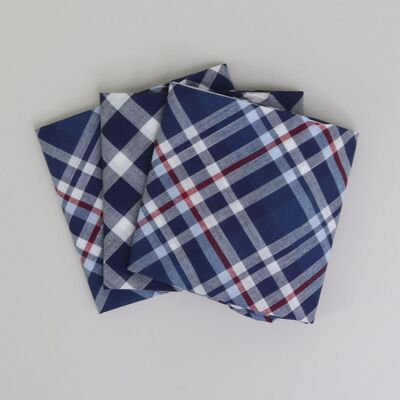 Blau/weiß karierte Taschentücher