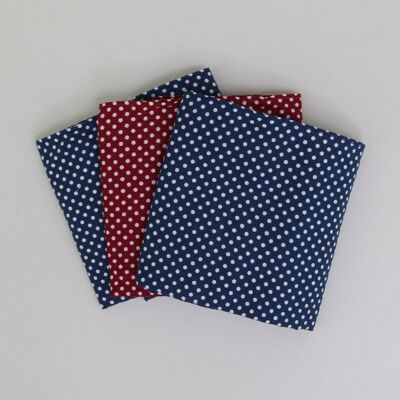 Blue/Red Spot Handkerchiefs