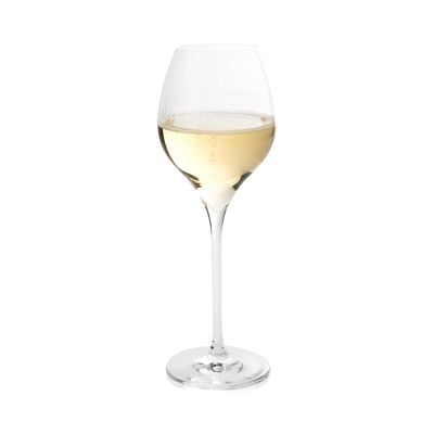 TEN21 SE | Champagne Premier Cru Blanc pluripremiato
