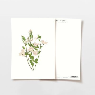 Postcard pink forget-me-not bouquet, FSC certified