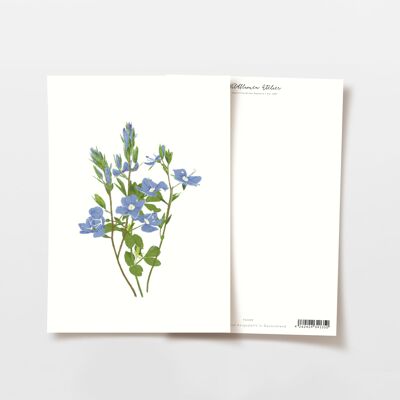 Cartolina Nontiscordardime Bouquet Blu, certificata FSC